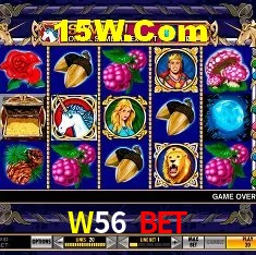 W56 Bet São Paulo - Jogo Providers